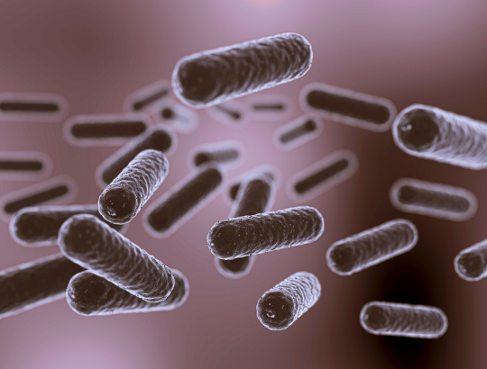 Clostridioides difficile-ассоциированная болезнь: новая информация для специалистов